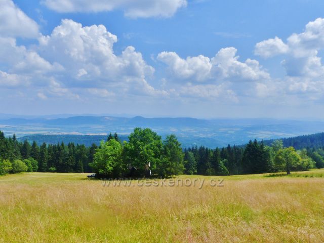 Rýchory - pastviny v lokalitě Sněžné domky, na obzoru se rýsuje Královecký Špičák