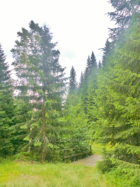 Malá Úpa - mostek  nad Sovím vodopádem přes Soví potok