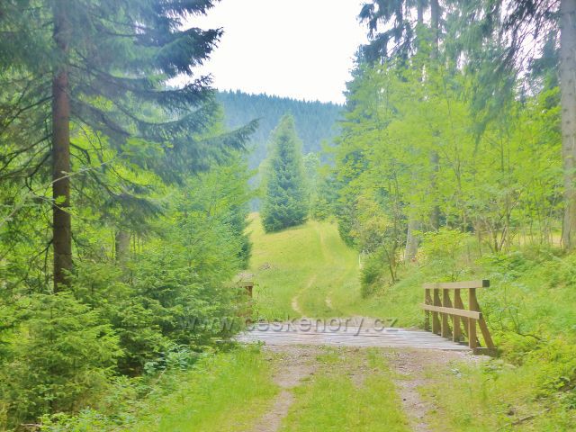 Malá Úpa - mostek přes Dobytčí potok