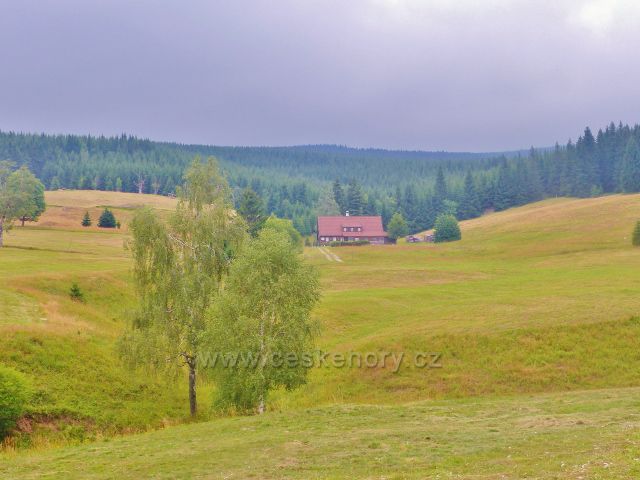 Horní Malá Úpa - Smrčí