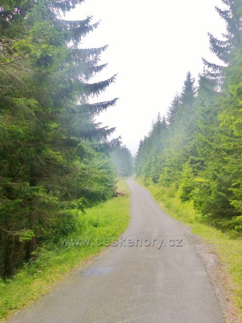 Horní Malá Úpa - silnička k chatě Jelenka