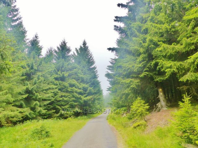 Horní Malá Úpa - silnička k chatě Jelenka