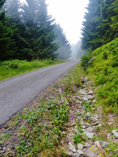 Horní Malá Úpa - silnička k chatě Jelenka