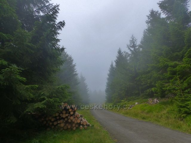 Horní Malá Úpa -silnička k chatě Jelenka