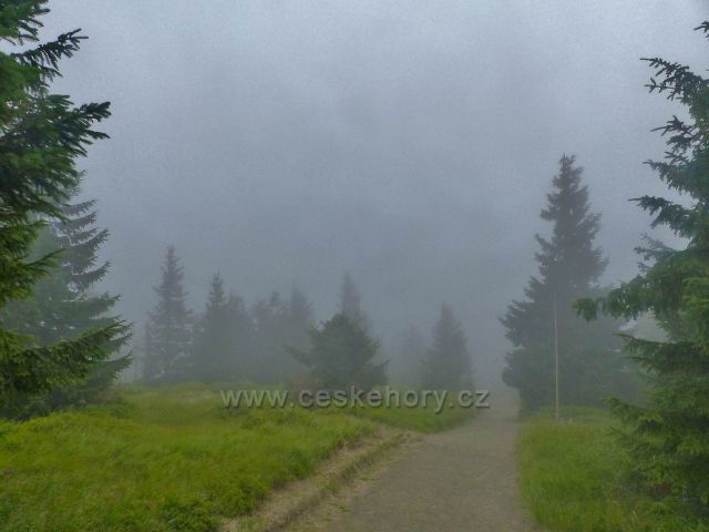 Horní Malá Úpa - neustále se převalující mlha na cestě k Sovímu sedlu