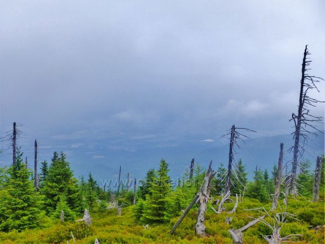 Horní Malá Úpa - pohled z Lesního hřebenu "Střecha" k polskému městečku Kowary