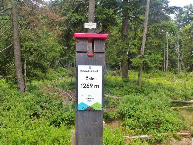 Horní Malá Úpa - sloupek s tabulkou Maloúpské tisícovky na vrcholu Čelo