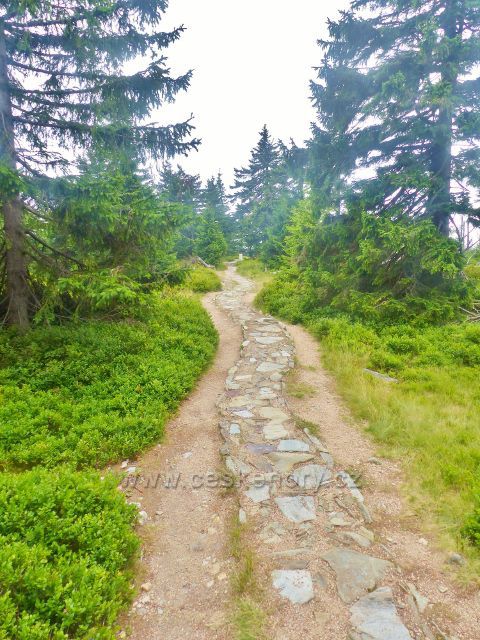 Horní Malá Úpa - zrekonstruovaná sestupová stezky po modré TZ z vrcholu Čelo na Pomezní boudy