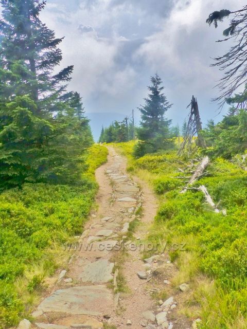 Horní Malá Úpa - zrekonstruovaná stezka z vrcholu Čelo na Pomezní boudy