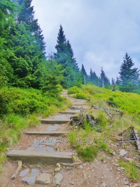 Horní Malá Úpa - spád dolní části stezky po modré TZ zmírňují dřevěné schody