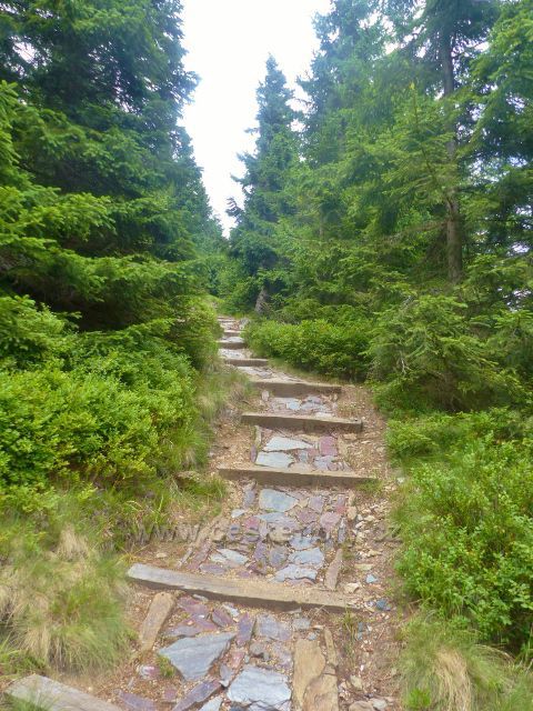 Horní Malá Úpa - dřevěné schody zmirňují spád sestupové stezky po modré TZ na Pomezní boudy