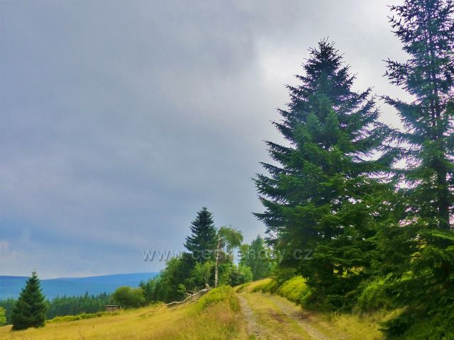 Horní Malá Úpa - cesta po žluté TZ k rozcestí pod Jelenkou