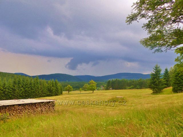 Horní Malá Úpa -louky pod Žlutou cestou