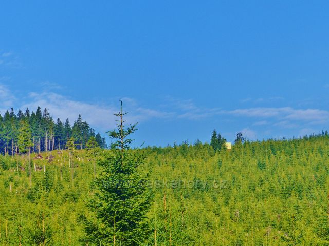 Malá Úpa - lovecká chata na Velkém polomu