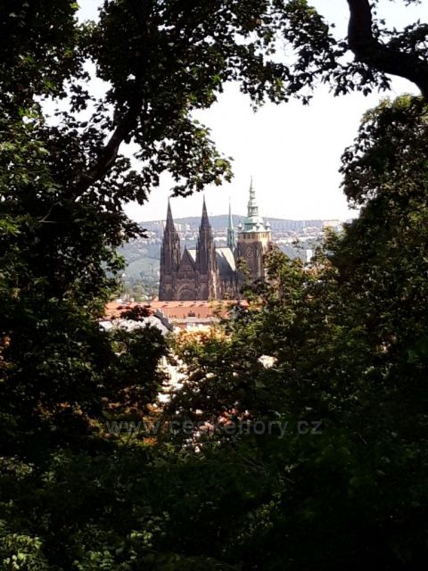 Pohled na Vyšehrad