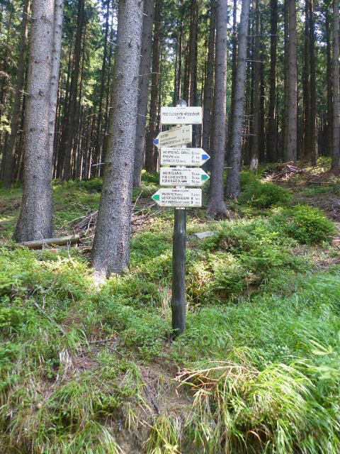 Horní Maršov - turistický rozcestník "Pod Dlouhým hřebenem, 868 m.n.m."
