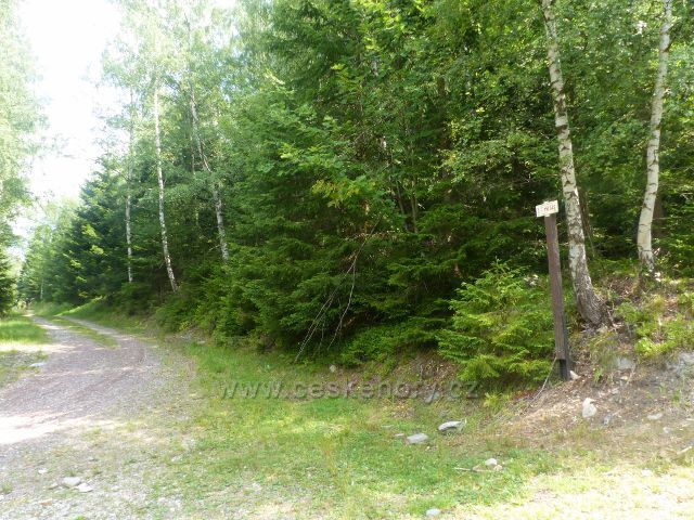 Horní Maršov - Emmina cesta k Cestníku mírně stoupá