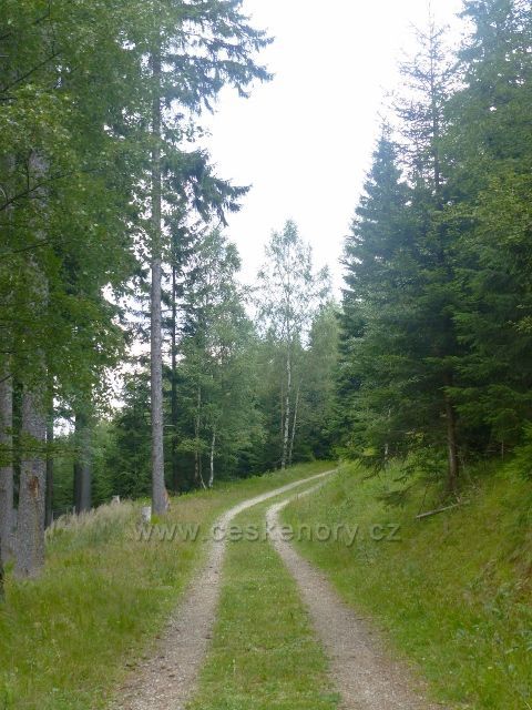 Horní Maršov - mírně stoupající Emmina cesta k Cestníku