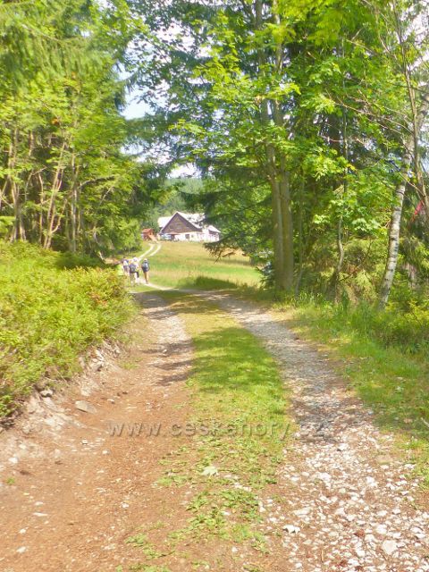 Horní Maršov - v průhledu se objevuje chata Poutník