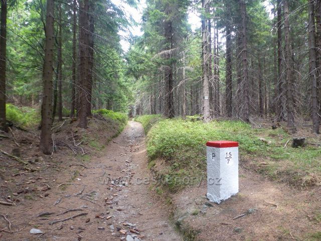 Horní Maršov - cesta na Lysečinskou horu po zelené TZ vede po státní hranici s Polskem