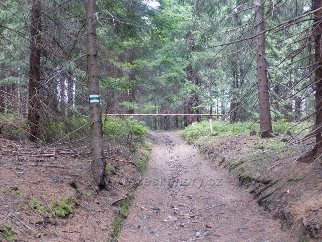 Horní Maršov -cesta po zelené TZ na Lysečinskou horu