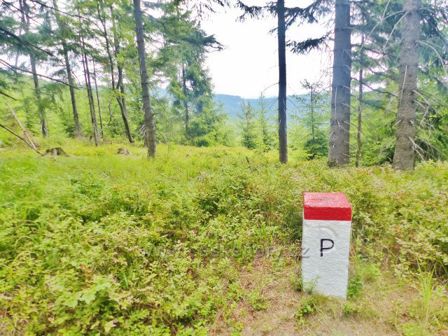 Horní Maršov - hraniční mezník u cesty ing. Nováka na Lysečinskou horu