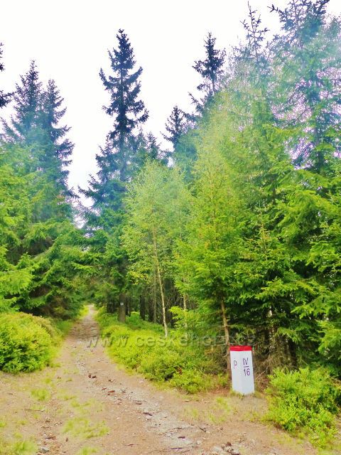 Horní Maršov - hraniční mezník na cestě po zelené TZ na Lysečinskou horu