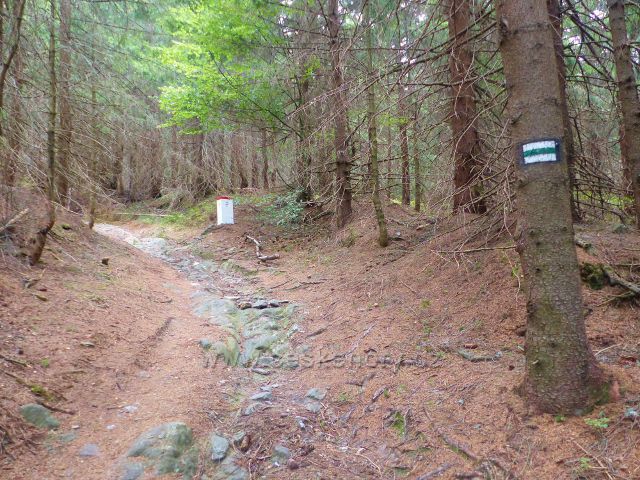 Malá Úpa - cesta po zelené TZ na Lysečinskou horu vede po státní hranici s Polskem