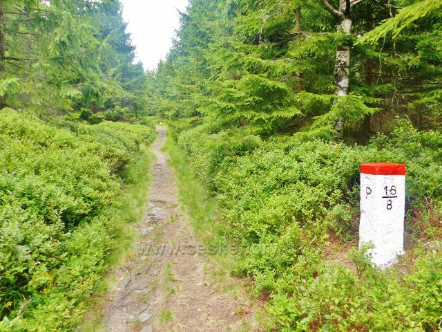 Malá Úpa - hraniční mezník u cesty na Lysečinskou horu