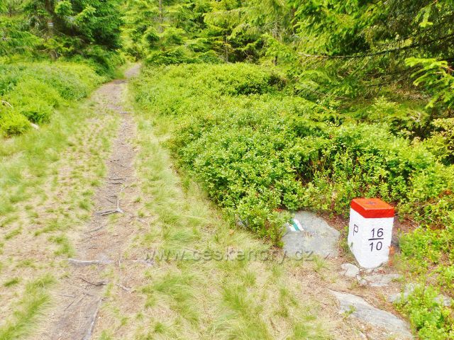 Malá Úpa - cesta na Lysečinskou horu vede po státní hranici s Polskem