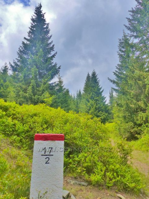 Malá Úpa - hraniční mezník na úbočí Lysičenské hory v místech, kde se začíná prosazovat borůvčí obsypané plody