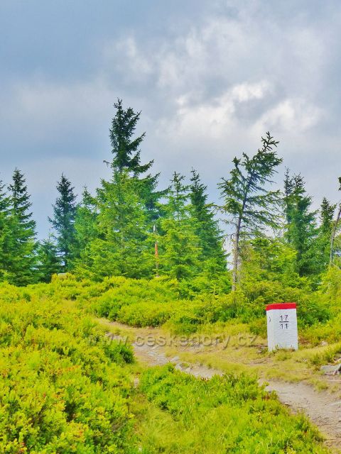 Malá Úpa - jeden z hraničních mezníků na plochém vrcholu Lysečinské hory (na Pomezním hřbetu)