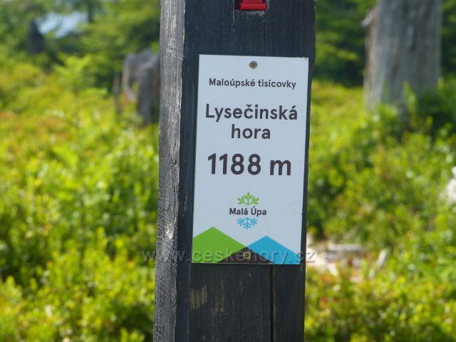 Malá Úpa - detail označení "Maloúpských tisícovek" na vrcholu Lysečinské hory