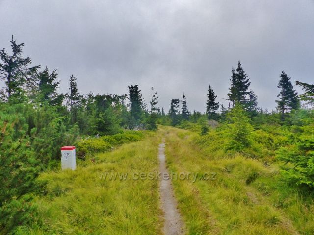 Malá Úpa - hraniční mezník u stezky po Pomezním hřbetu