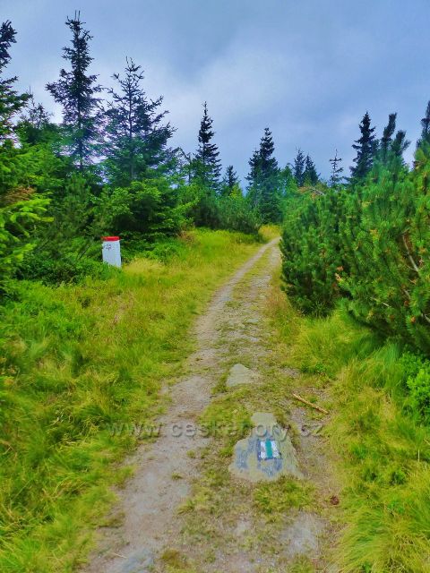 Malá Úpa - hraniční mezník na klesající stezce po zelené TZ z vrcholu Lysečinské hory k Pomezním boudám