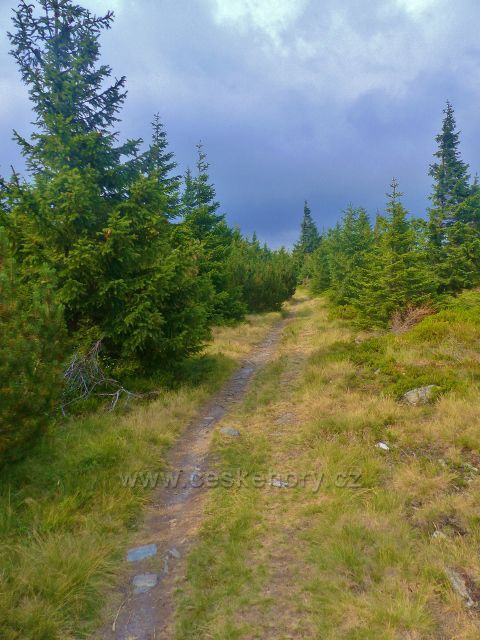 Malá Úpa - hraniční cesta ing. Nováka po zelené TZ k Pomezním boudám