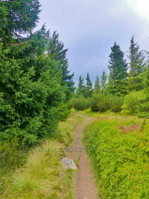 Malá Úpa - hraniční cesta ing. Nováka po zelené TZ k Pomezním boudám