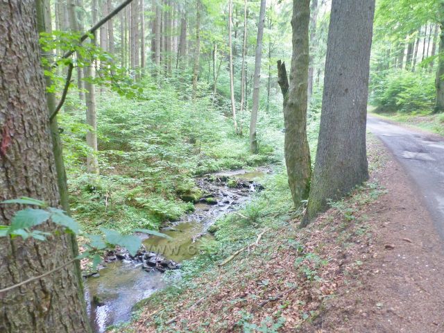 Žacléř - Sněžný potok