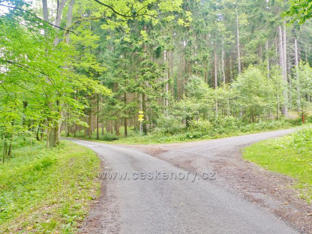 Žacléř - rozcestí silničky k horské chatě Ozon a "Zámecké spojky",což je vrstevnicová cesta vedoucí až nad žacléřský zámek