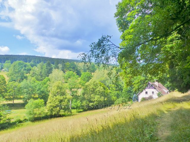 Žacléř - Rýchory, Nad Kvintou