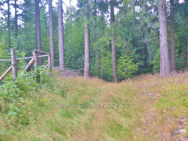 Žacléř - cesta po žluté TZ od chaty Ozon k Bílému kříži