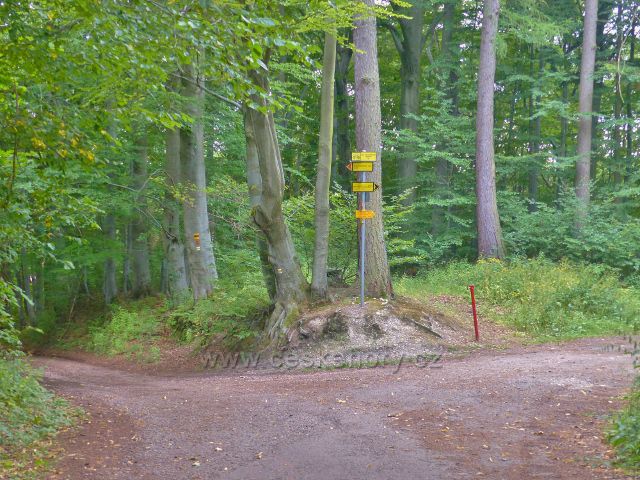 Žacléř - rozcestí Nad žacléřským zámkem