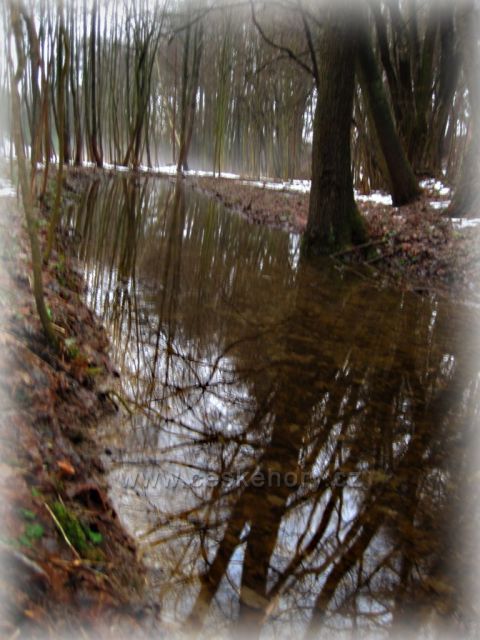 sníh roztál - pod Orlickými horami