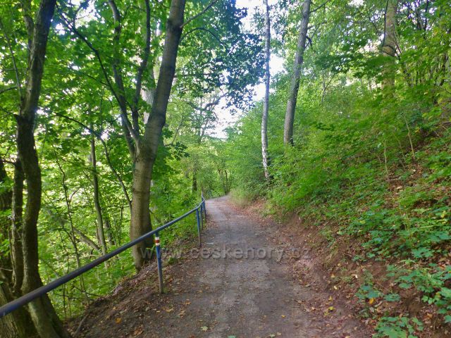 Semily - 17.greenway Jizera.Po červené TZ k rozcestí Bítouchov