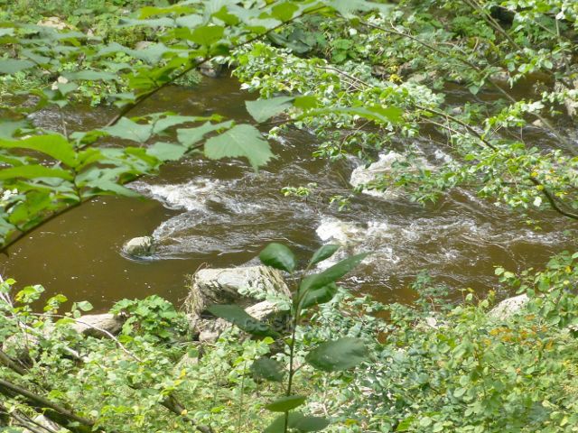 Semily - peřeje Jizery v PR Údolí Jizery