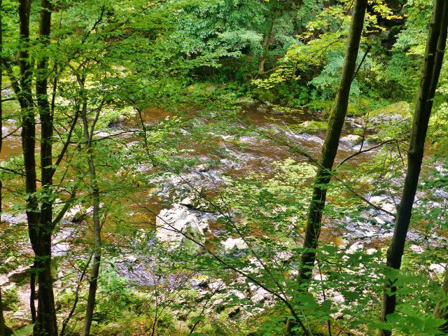 Semily - kamenité řečiště Jizery v PR Údolí Jizery