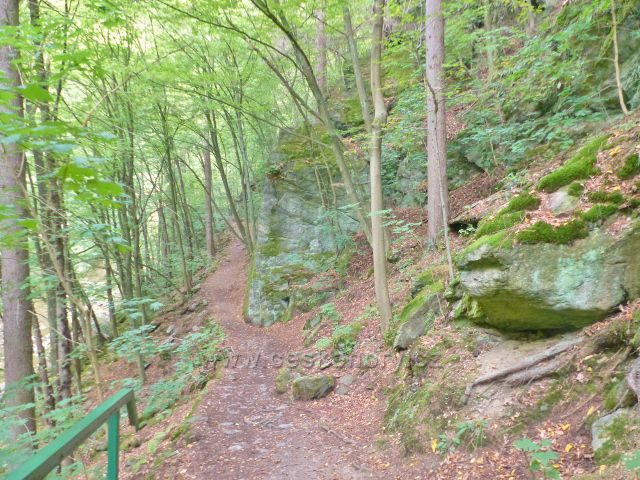 Semily - Riegrova stezka nad Jizerou v PR Údolí Jizery