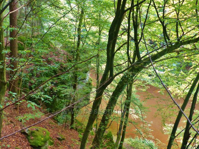 Semily - Jizera v PR Údolí Jizery pod Riegrovo stezkou