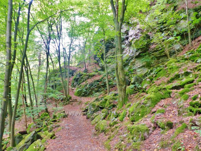 Semily - Riegrova stezka nad Jizerou v PR Údolí Jizery