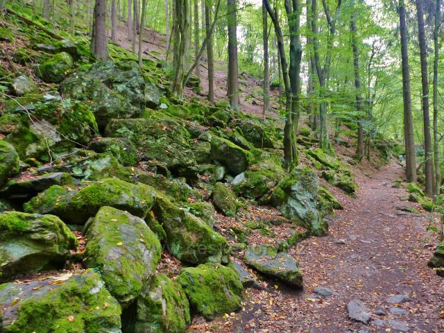 Semily - Riegrova stezka nad Jizerou v PR Údolí Jizery